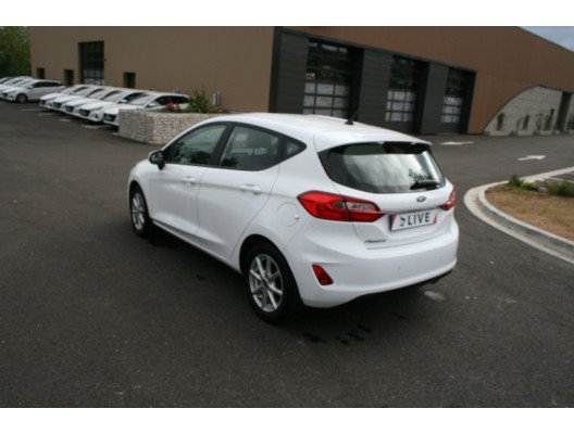 FIESTA VI