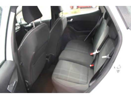 FIESTA VI