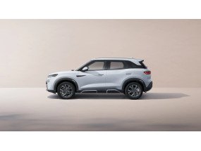 BYD BYD ATTO 2